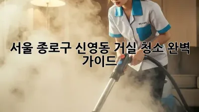 서울 종로구 신영동 거실 청소 완벽 가이드