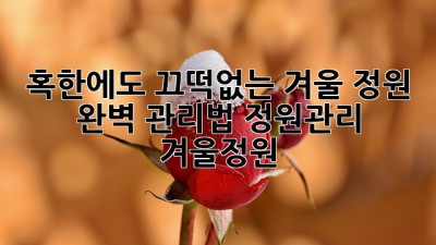 혹한에도 끄떡없는 겨울 정원🌿 완벽 관리법! #정원관리 #겨울정원